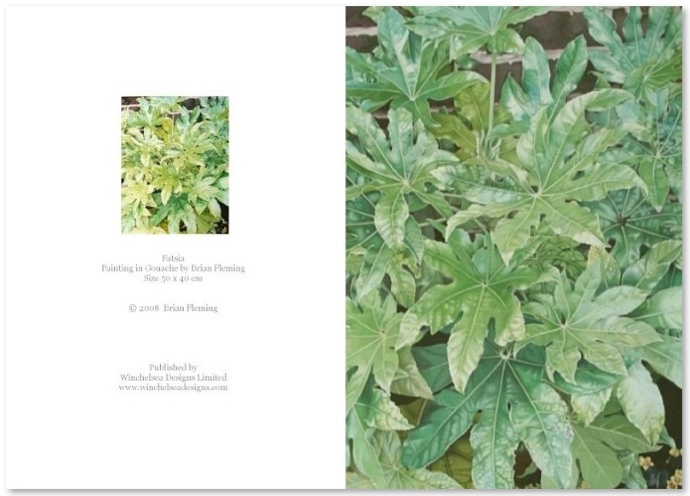 Fatsia Card